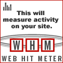 Web Hit Meter